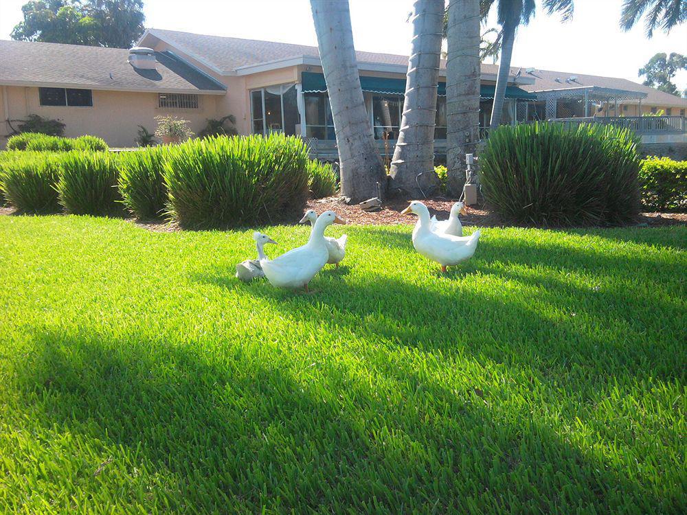 Hollywood Beach Golf Resort エクステリア 写真